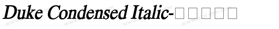 Duke Condensed Italic字体转换